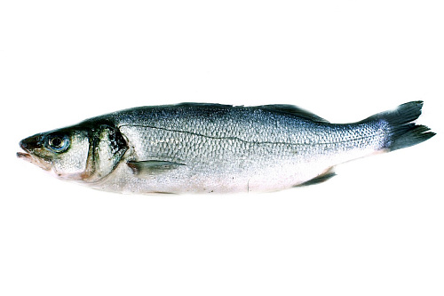 Сибас (Морской Окунь) охл. не потр. с/г 400/600 г
